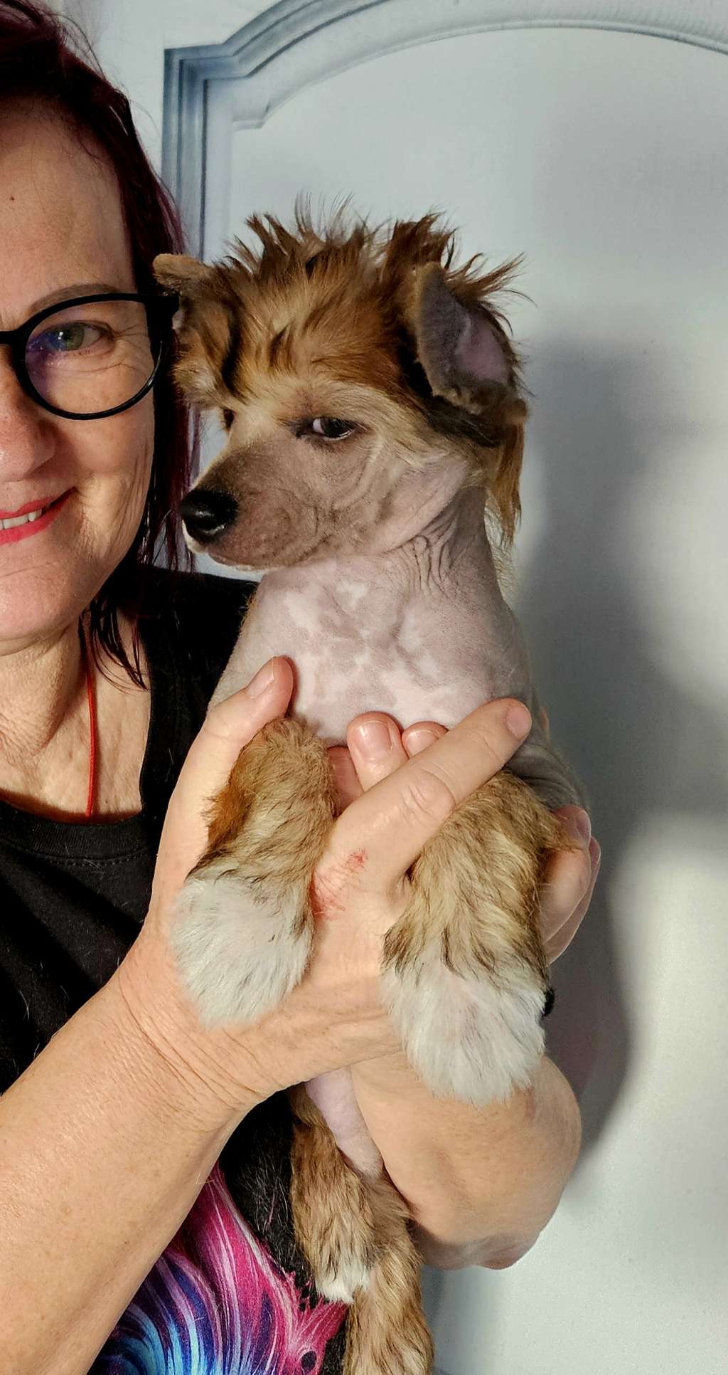 Buddy Rudolph vom Leipziger Löwen