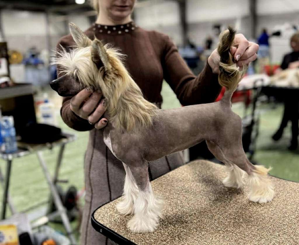 Denali's Miso Naughty