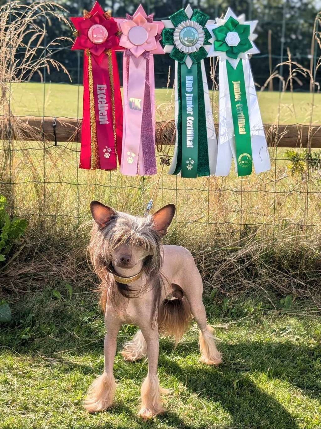 Beyesa Chukulati Sabana Basora