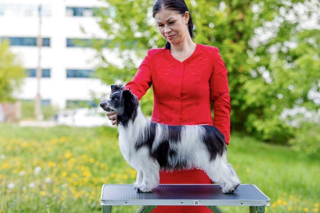 Kidsolarus Marya Magdalina