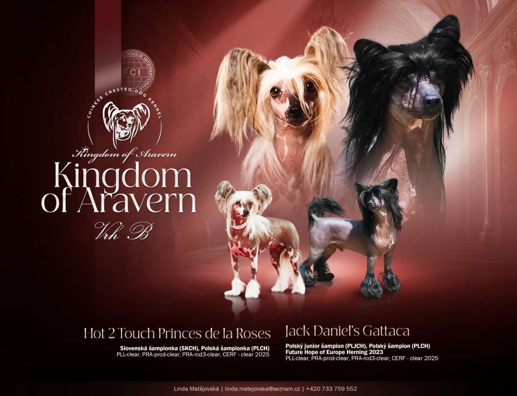 Berushka Kingdom of Aravern