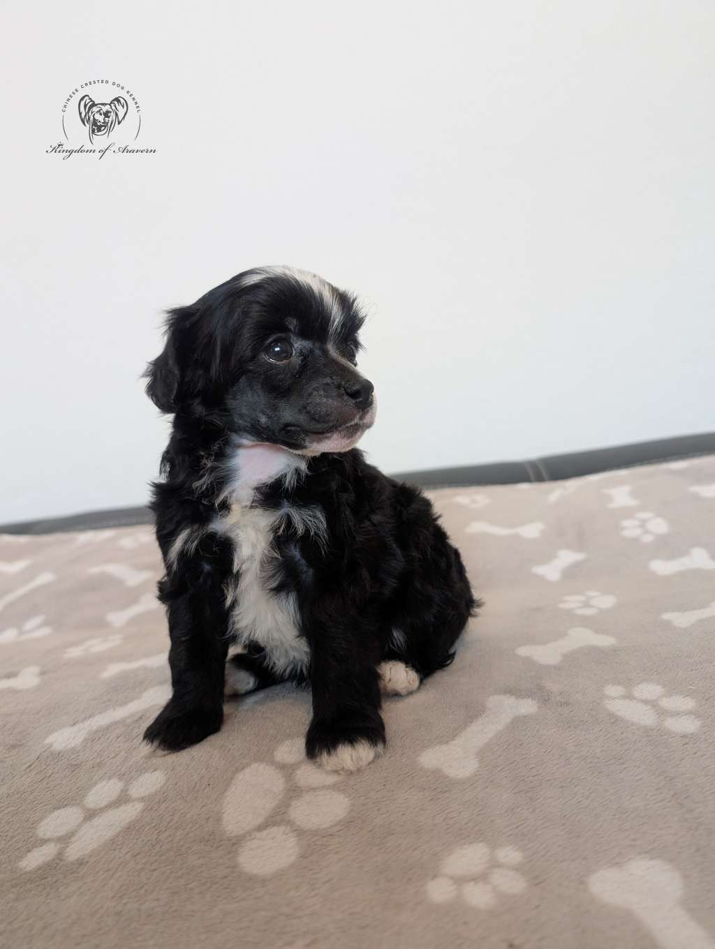 Bogey Kingdom of Aravern