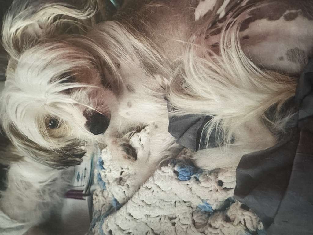 EverCrest's Whispering is just a suggestion