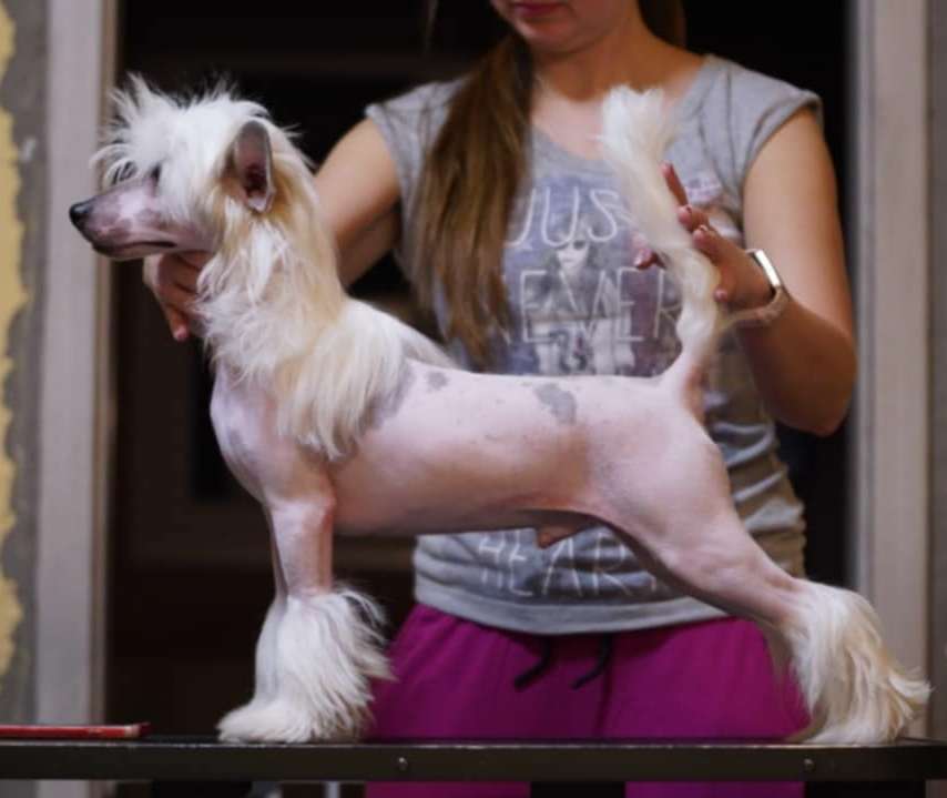 Sol'tanto I like-a-Legend