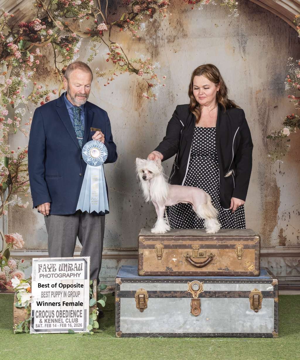 Halostar n Shantel s Dazzle Them