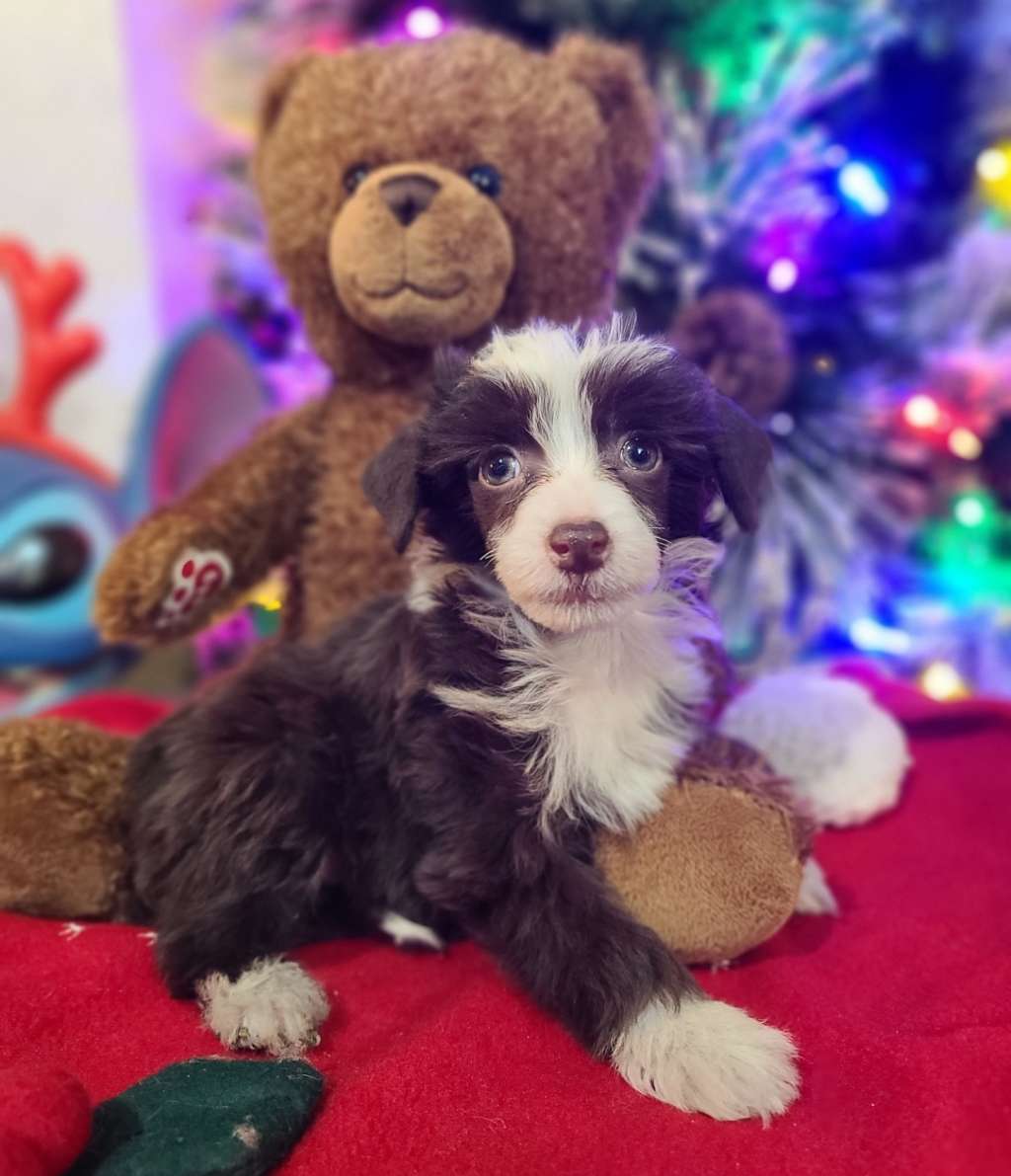 Long Haul's Movin' Like a Sloth Buzzin' Like a B