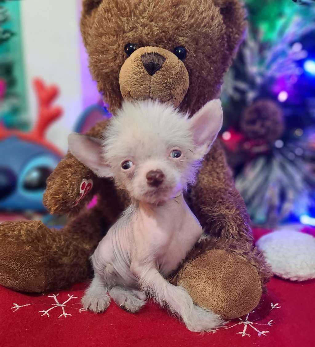 Long Haul's Gimme Gimme All The Food