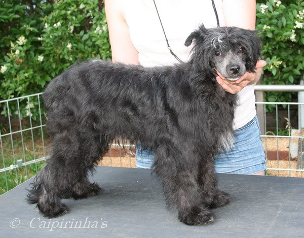 Caipirinha's MOLOTOW ON ICE