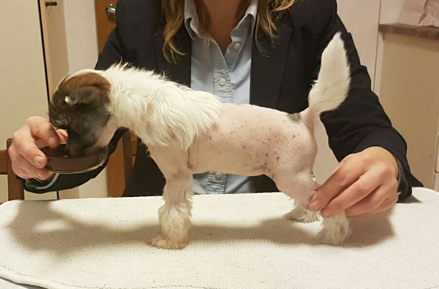 Mamres Just Ann Obsession