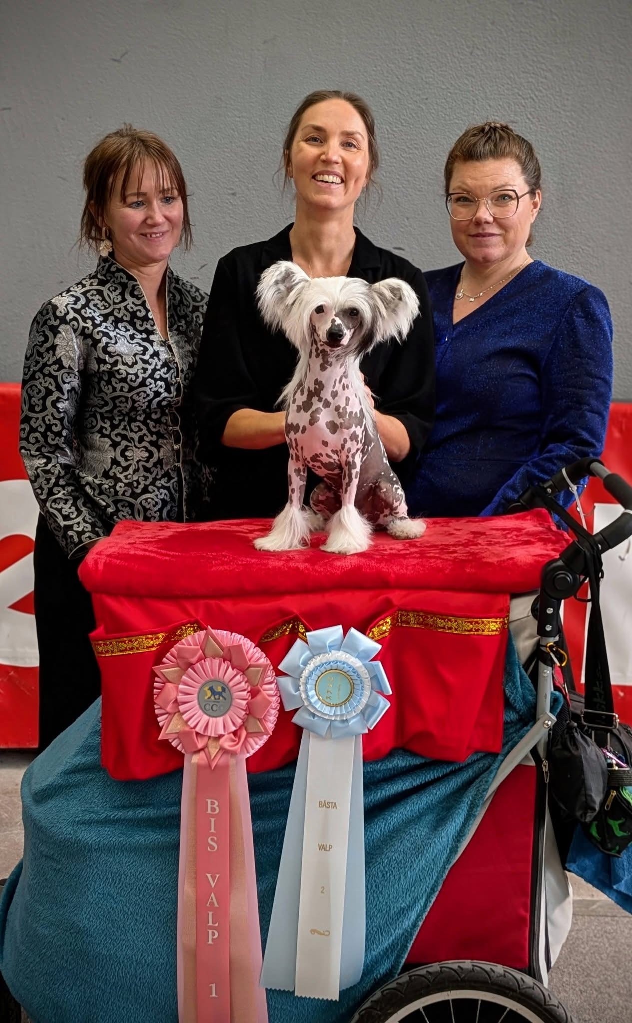 Miakoda's Poker Face