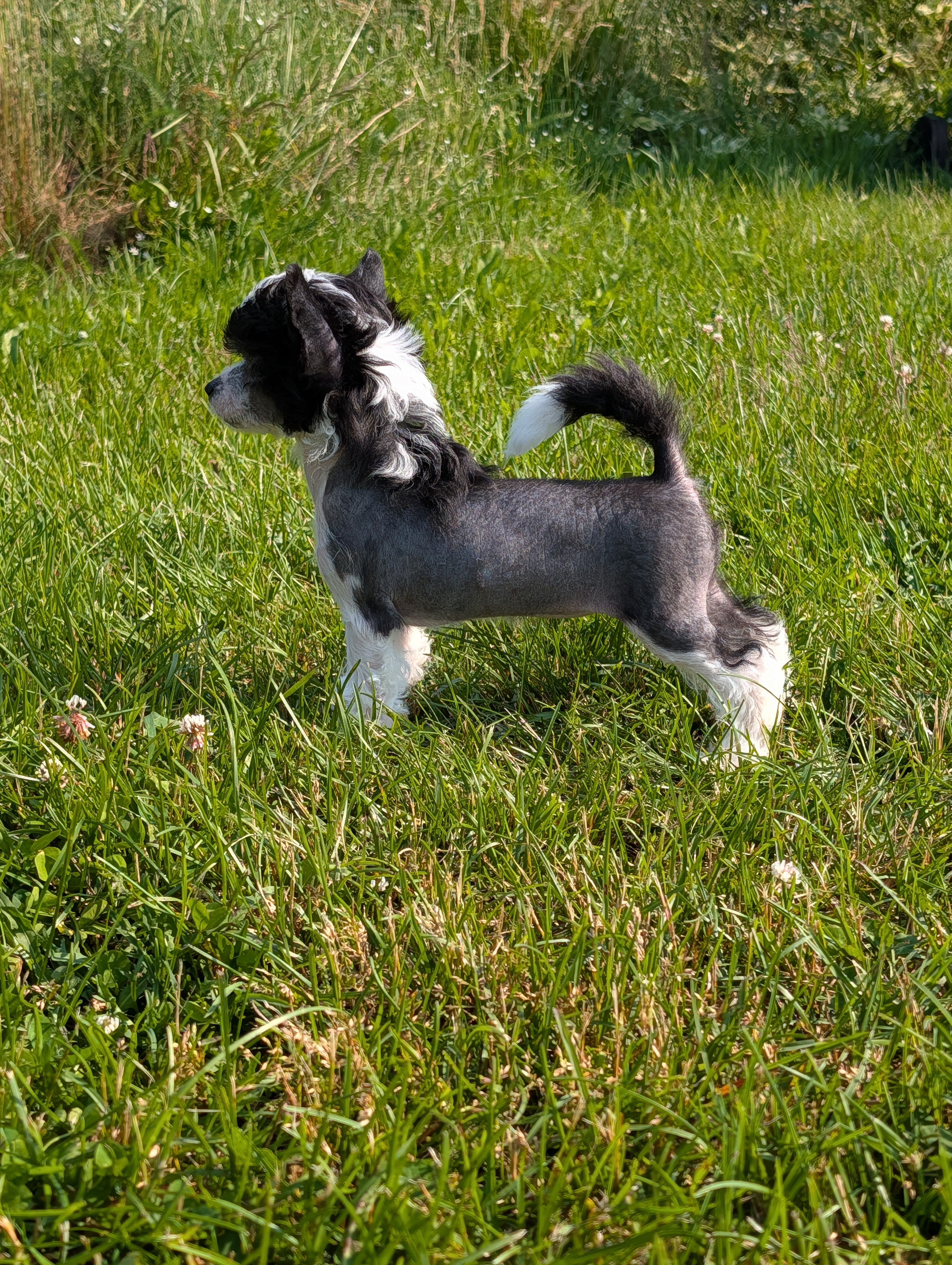 Gardine Keeper (Name TBD)