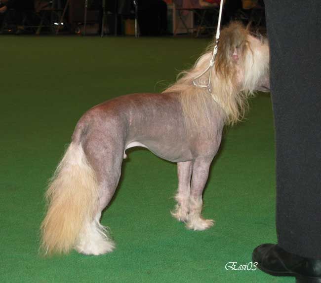 Annamac Dearest Barry