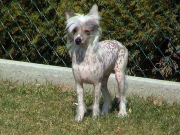 Babylon Fata Morgana