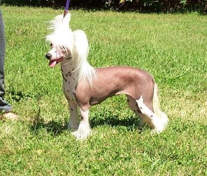 Bayshore Jane's Addiction