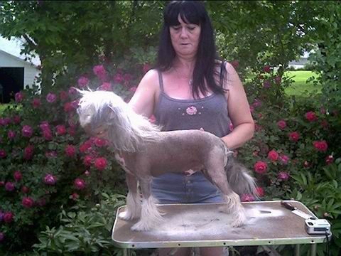 Bayshore's Nutty Professor