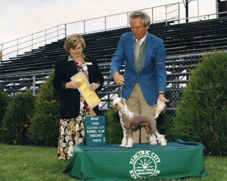 Bayshore Sol-Orr Dreamsickle