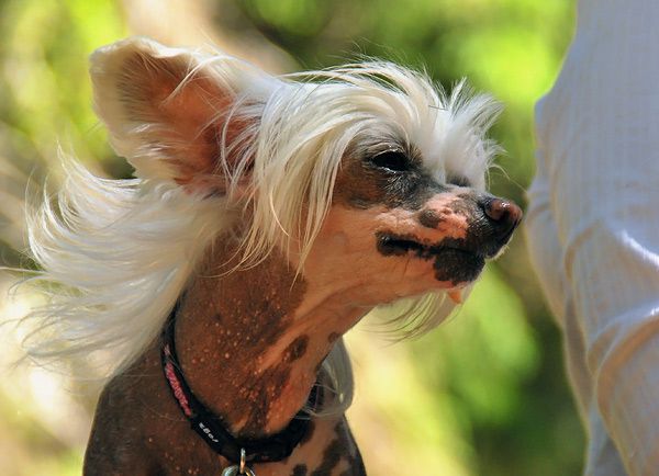 Beddi's Brilliant Bride