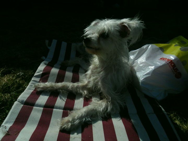 Rainbow Garden Bella