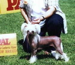 Blackheath Upto The Top