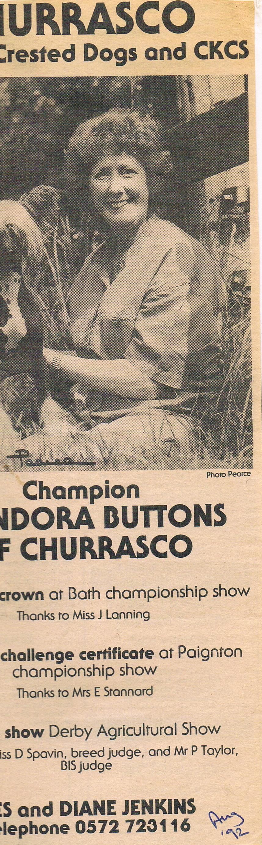 Blandora Buttons Of Churrasco