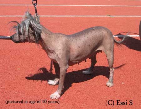 Blue Crest's Extraterrestial