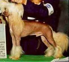 Chargi's Macgyver SOD