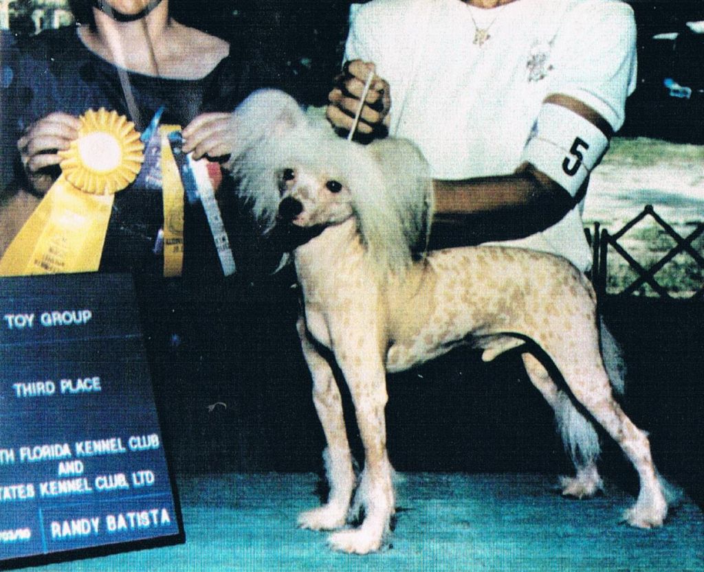 Chargi's PS Of Phaedrian SOM