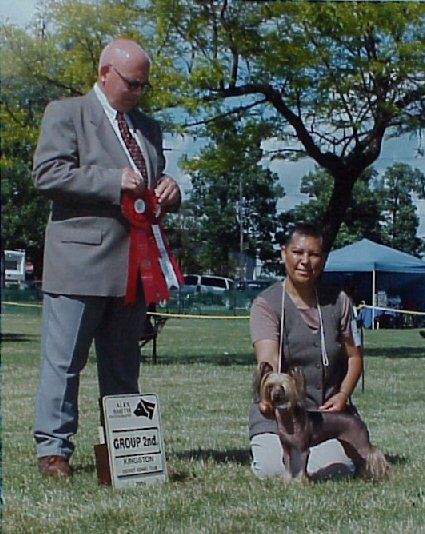 Crestars Altair Izntzewonderfl