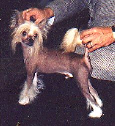 Dar-Walk Szechuan Of Gipez SOD