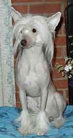 Debe's Designer Jewels