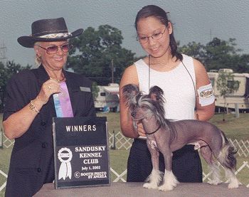 Debe's Surface To Air Missile