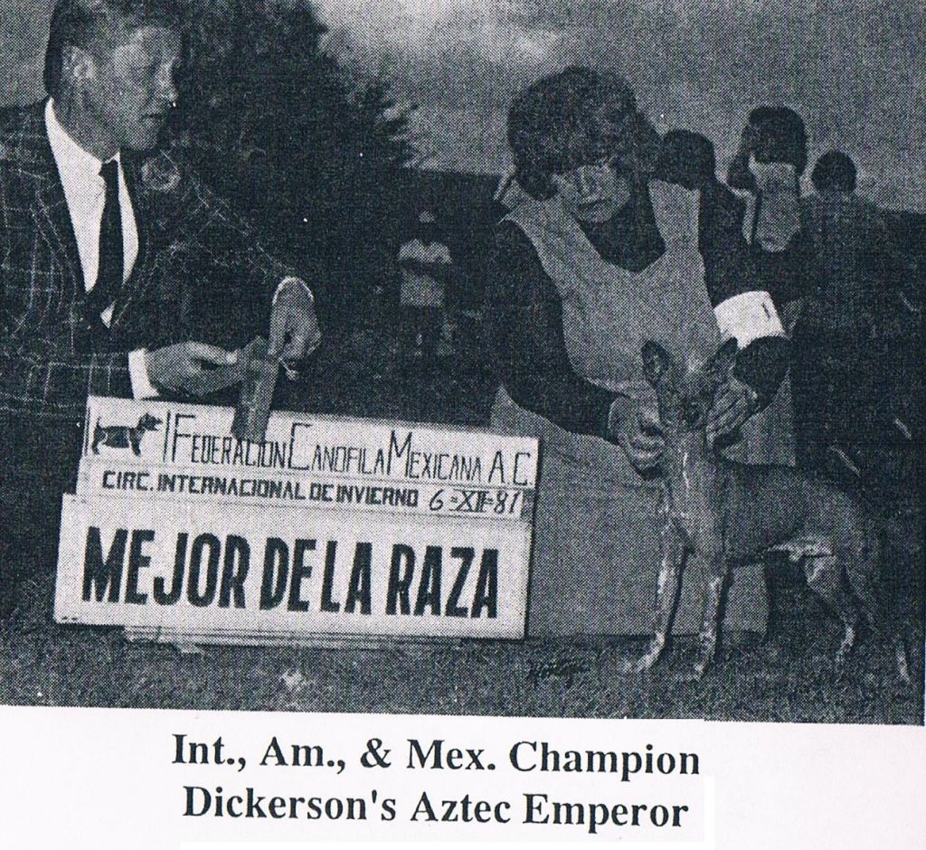 Dickerson's Aztec Emperor