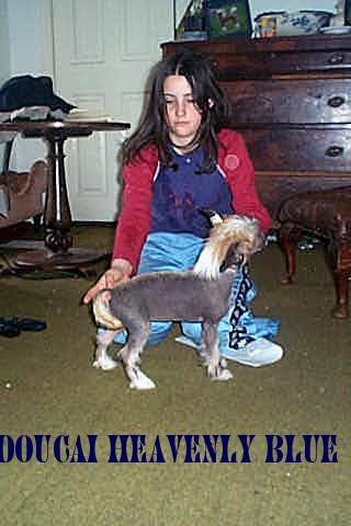 Doucai Heavenly Blue