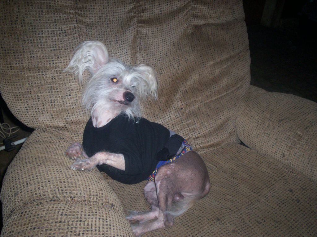 Drews Awsome Rudytooten Razz