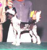 Edelweiss Double The Pleasure