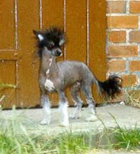 Emmely von Shinbashi