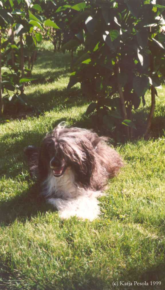 Ermi's Place Baker's Special