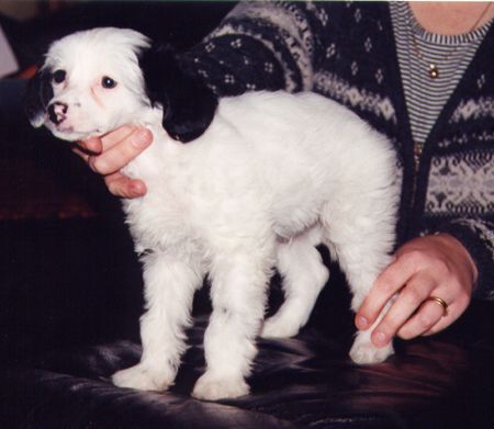 Farukin Bugsy Malone