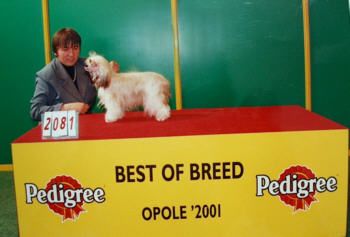 First Lady Spectabilis