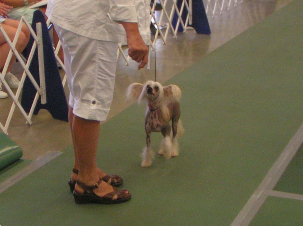 From Here To Eternity N'co