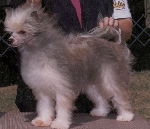 Fyresides Magical Moment