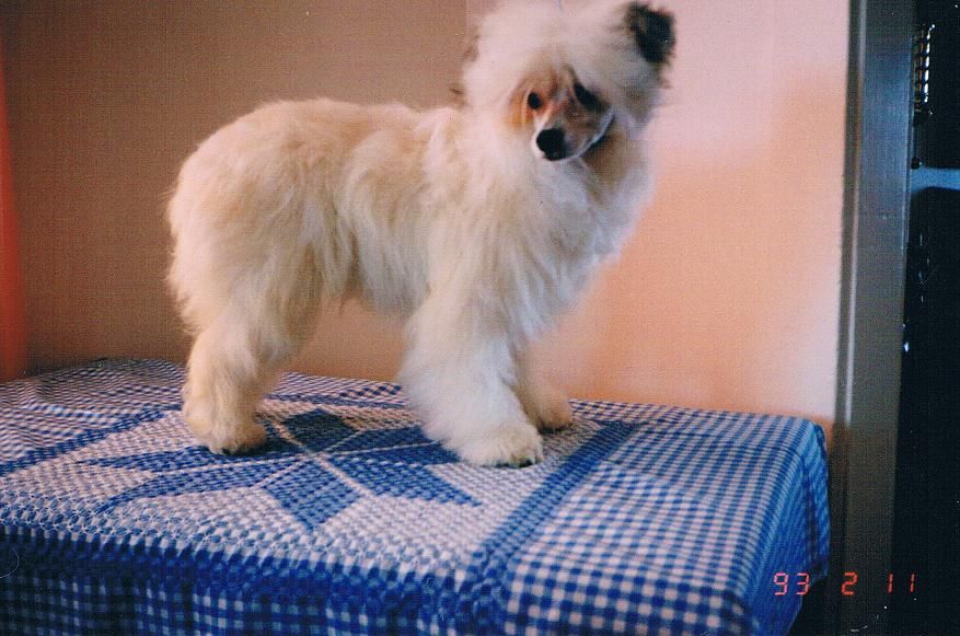 Gail-Dons Free Spirit