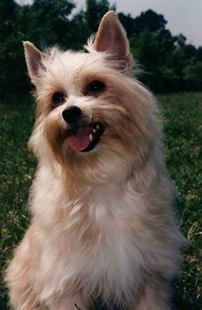 Gingery's Kalua 'N' Cream