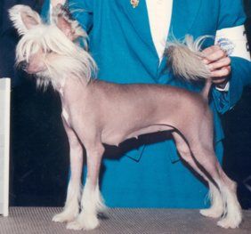 Gingery's Seabreeze Of O-Lan