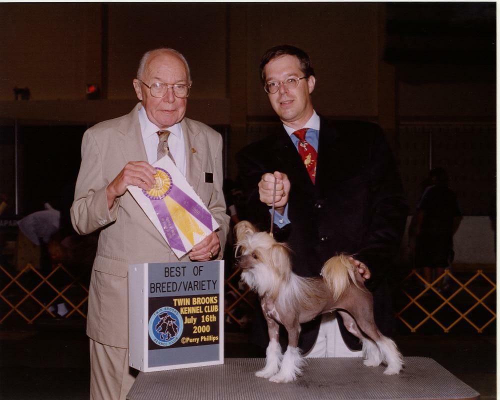 Gingery's Strawberry Shortcake