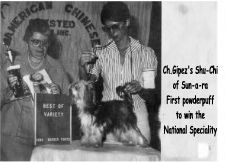 Gipez's Shu-Chi Of Sun-A-Ra