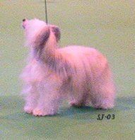 Glebeheath The Moment At Fewaun