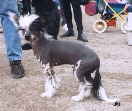 Great-Body's Famous Freddy