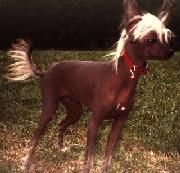 Hemisphere dei Sette Laghi