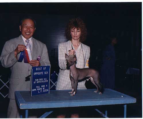 Hi-Life's Marionette